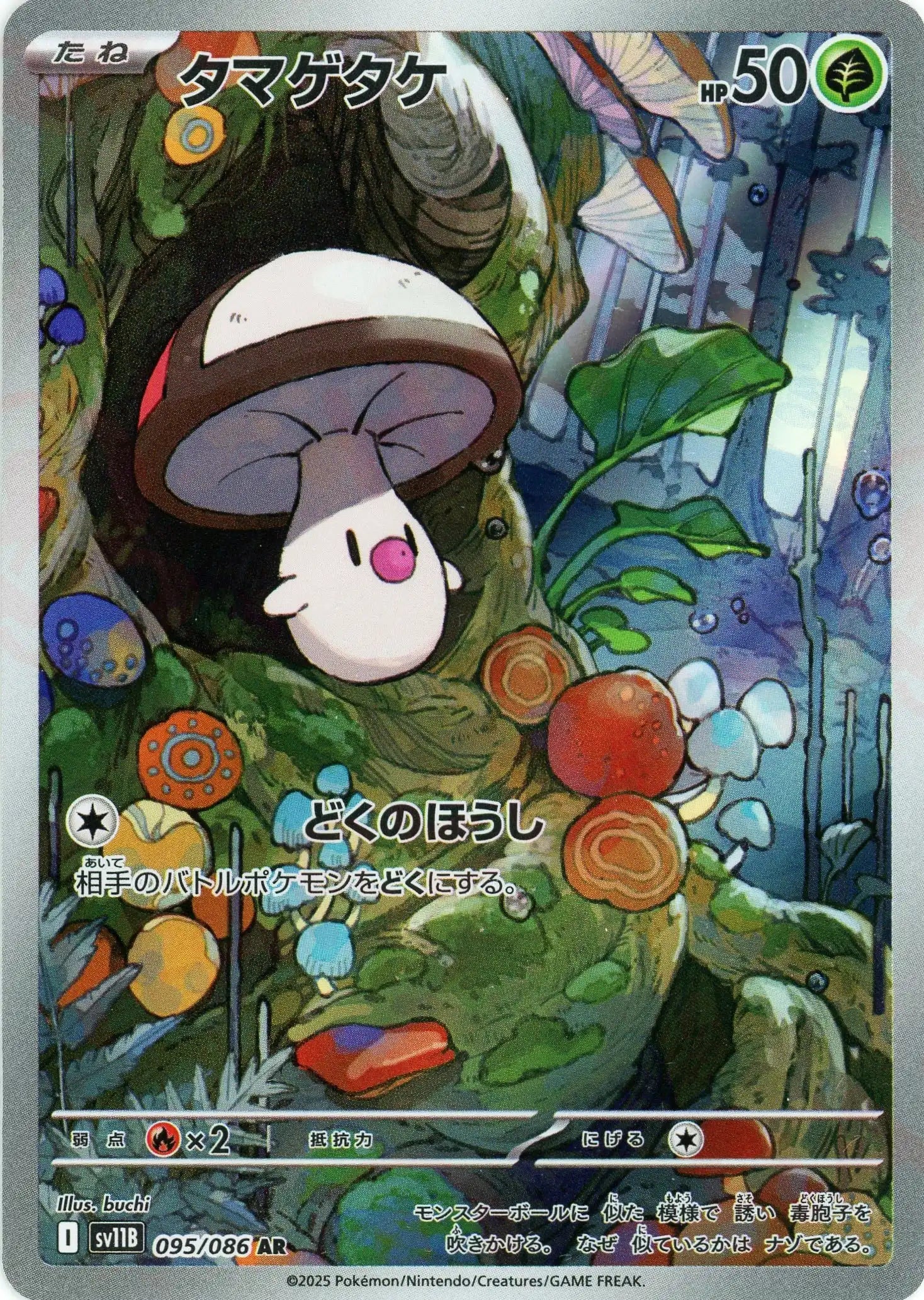 SV11B 095/086 タマゲタケ AR