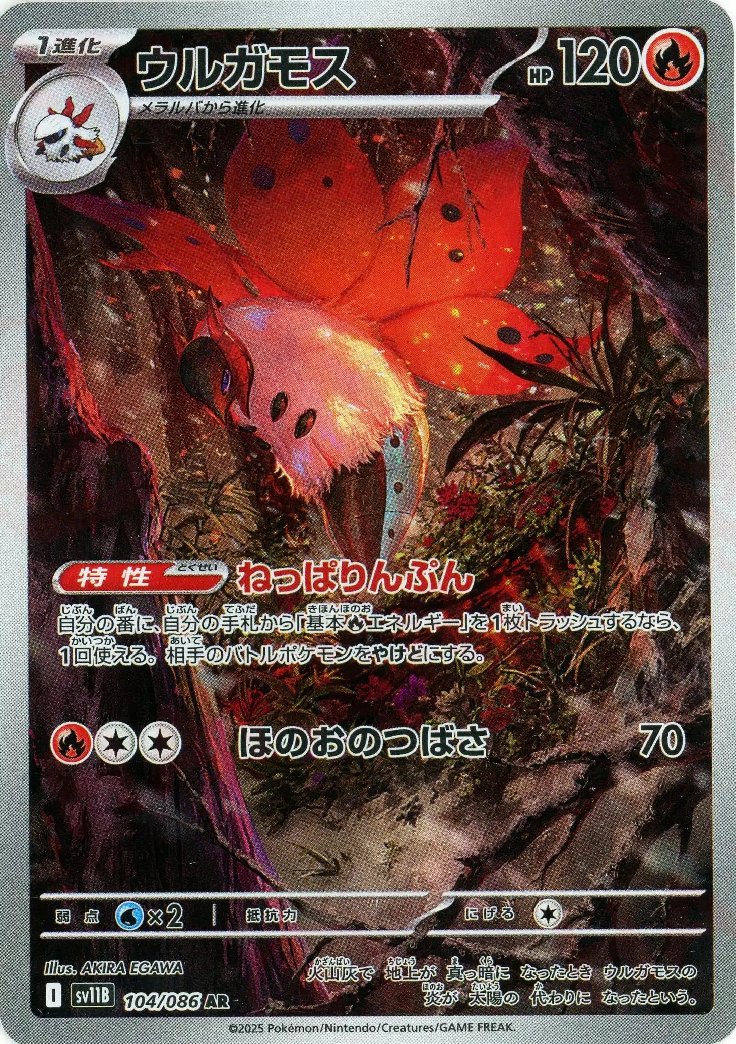 SV11B 104/086 ウルガモス AR