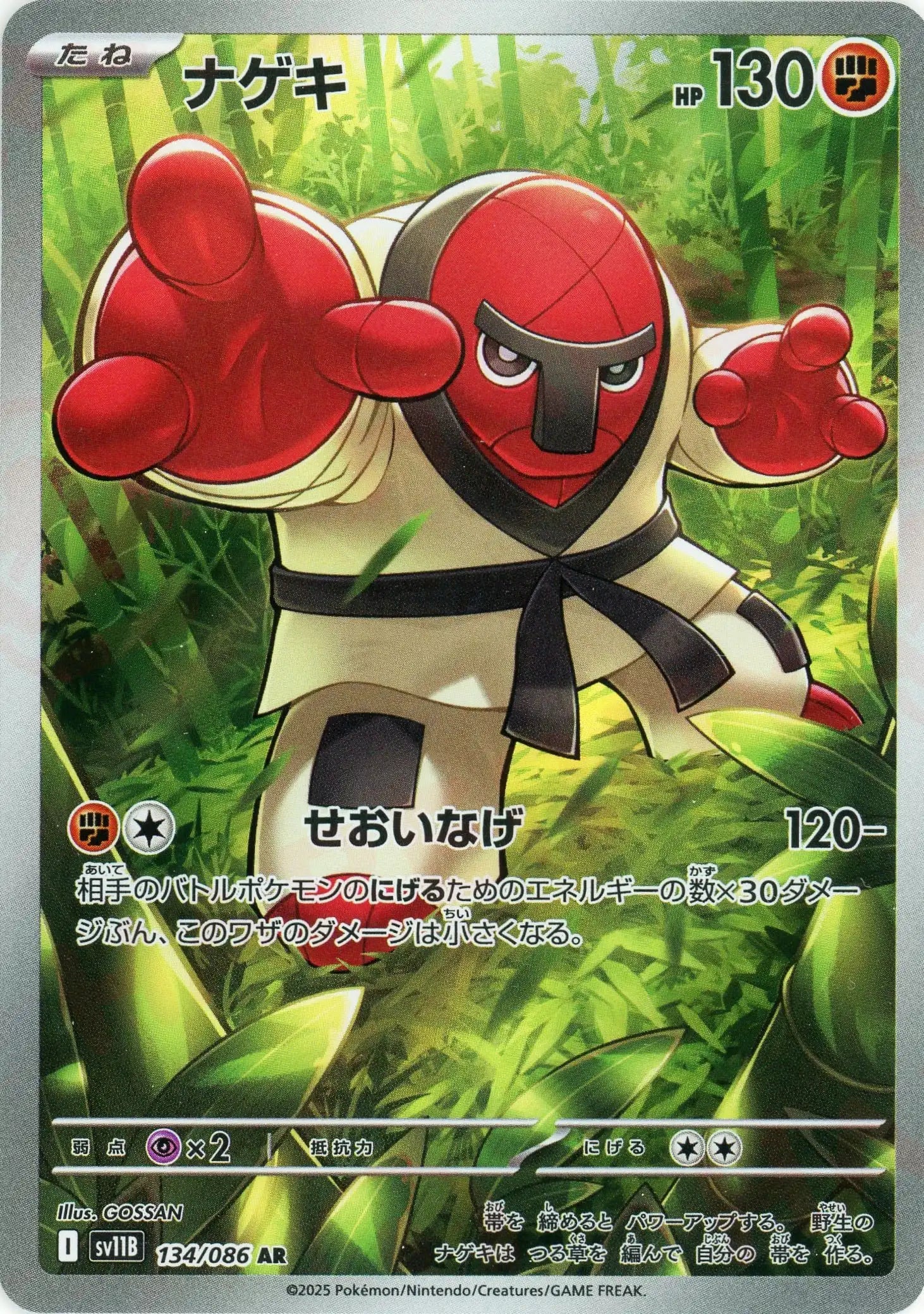 SV11B 134/086 ナゲキ AR