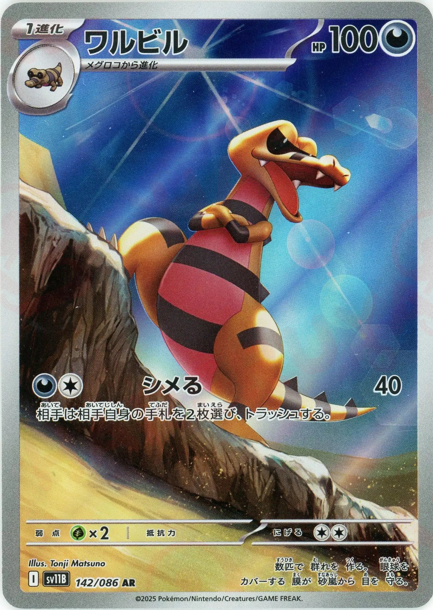 SV11B 142/086 ワルビル AR