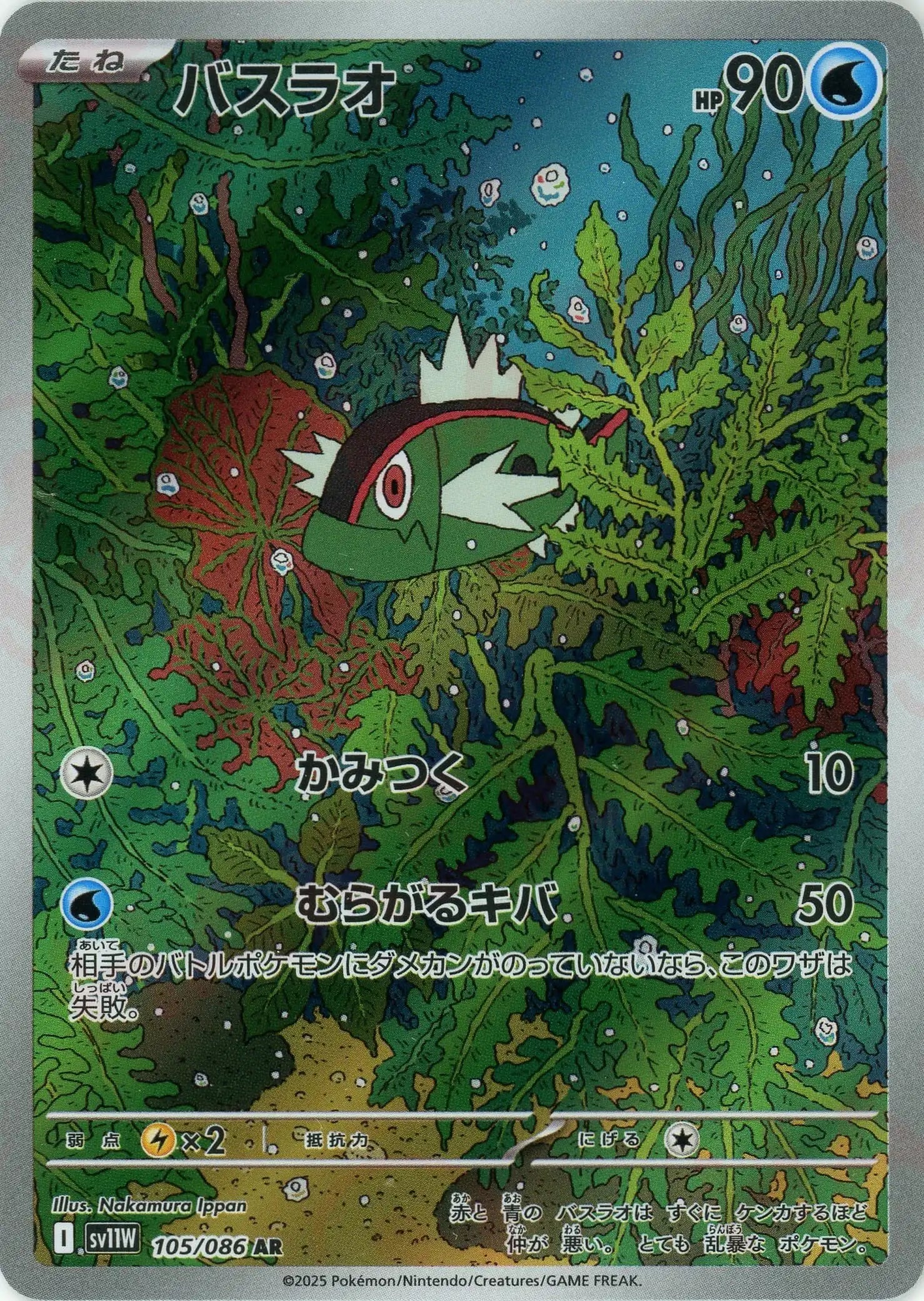 SV11W 105/086 バスラオ AR