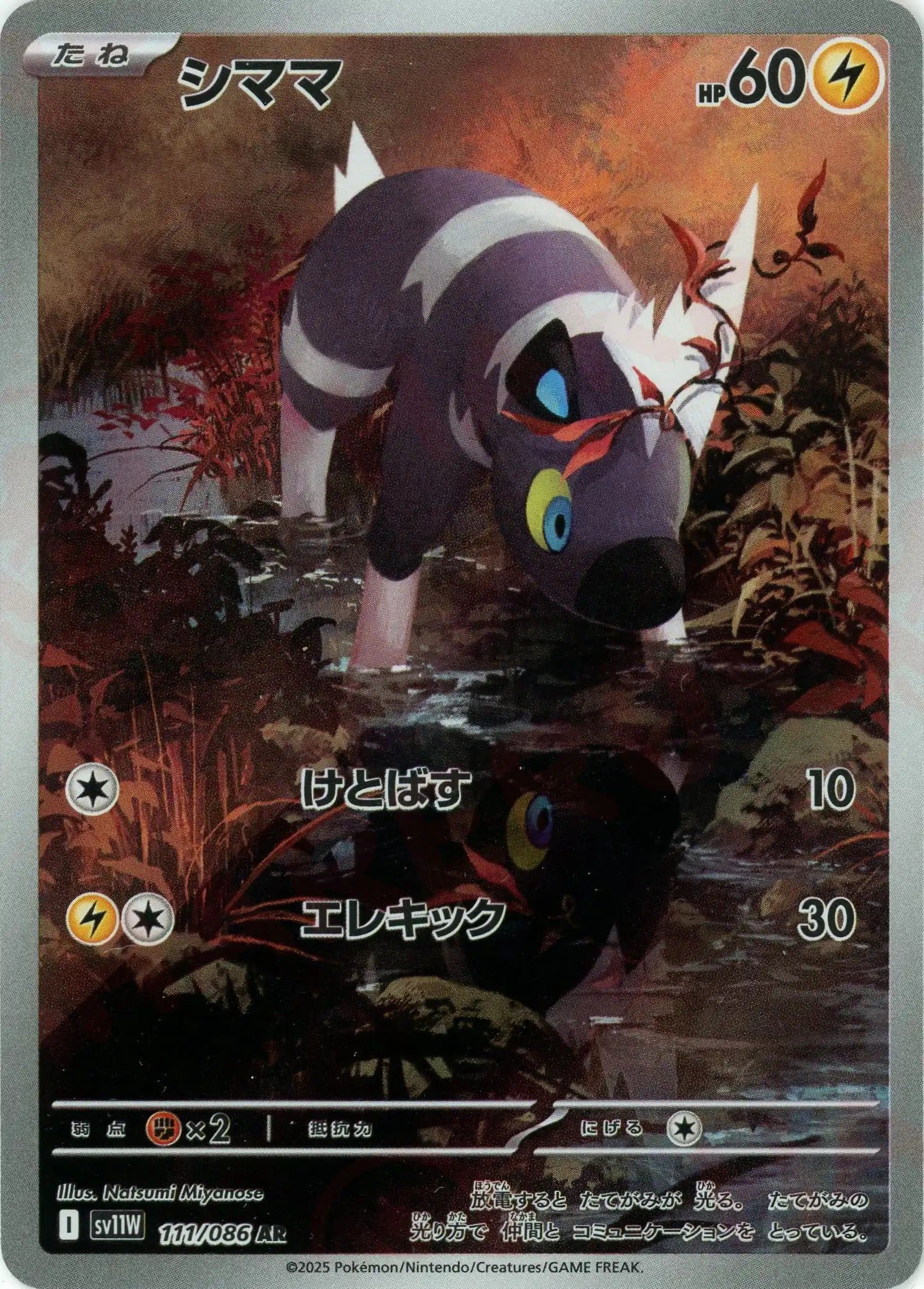 SV11W 111/086 シママ AR