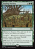 [Foil] ECL 192 Sapling Nursery R