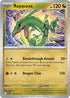 ASC 153/217 Rayquaza R